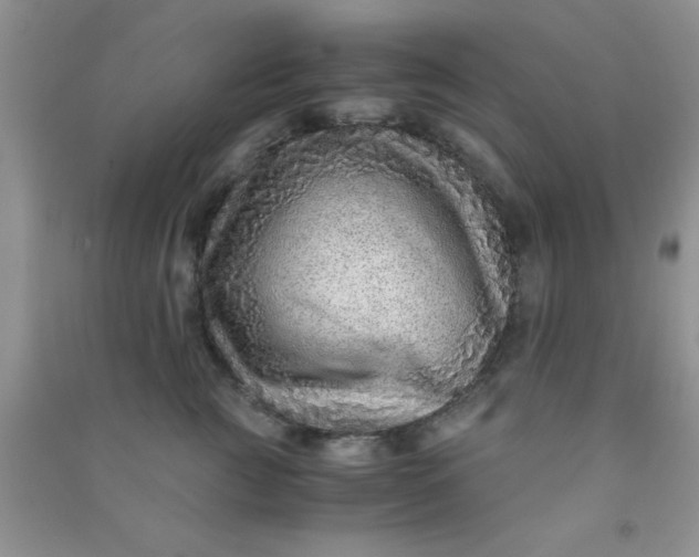 X0000090990761200708161917