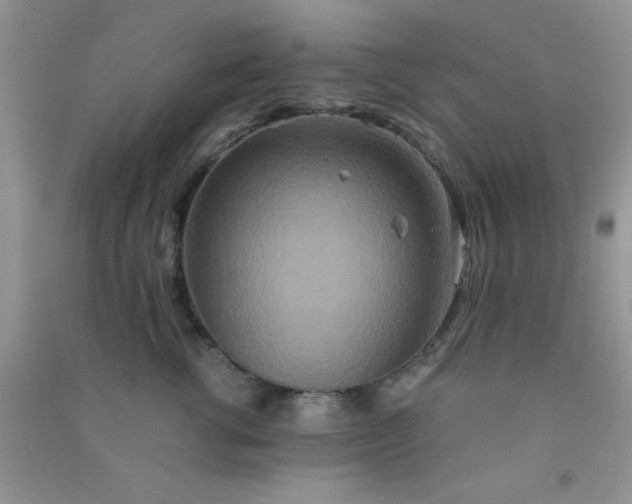 X0000090990762200708161917