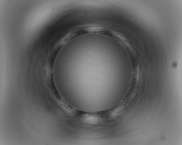 X0000090990763200708161917