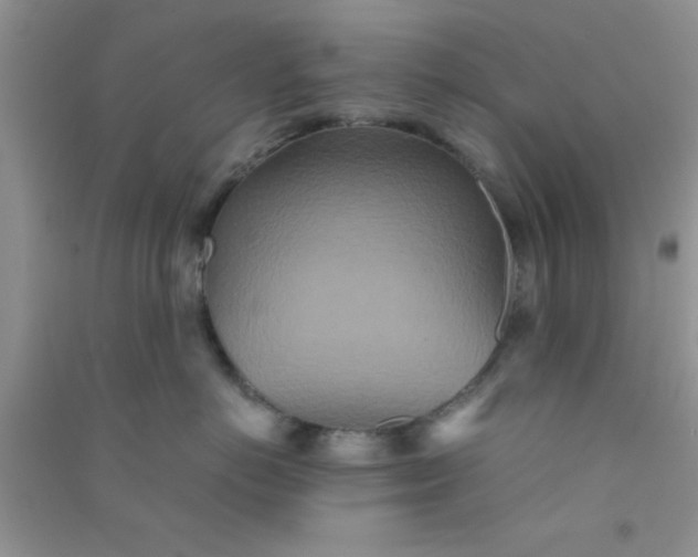 X0000090990766200708161917