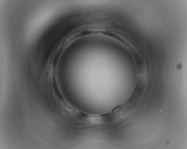 X0000090990767200708161917