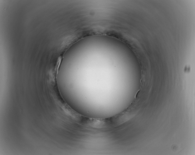 X0000090990768200708161917