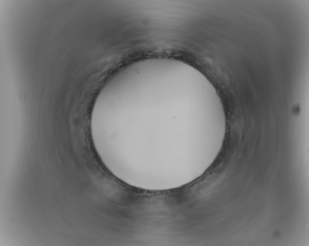X0000090990769200708161916