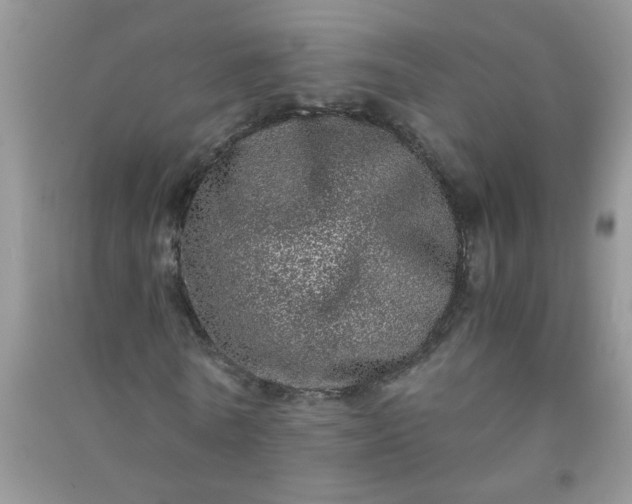 X0000090990770200708161916