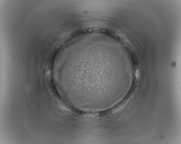 X0000090990771200708161916