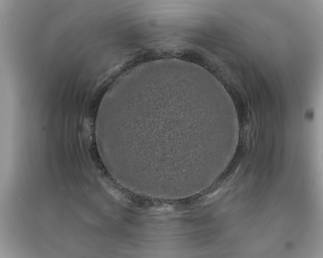 X0000090990772200708161916