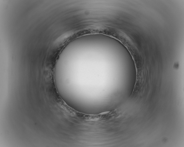 X0000090990773200708161916