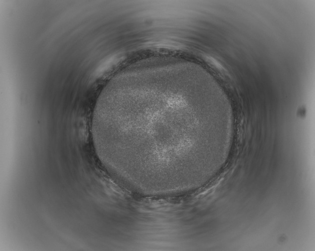 X0000090990774200708161916