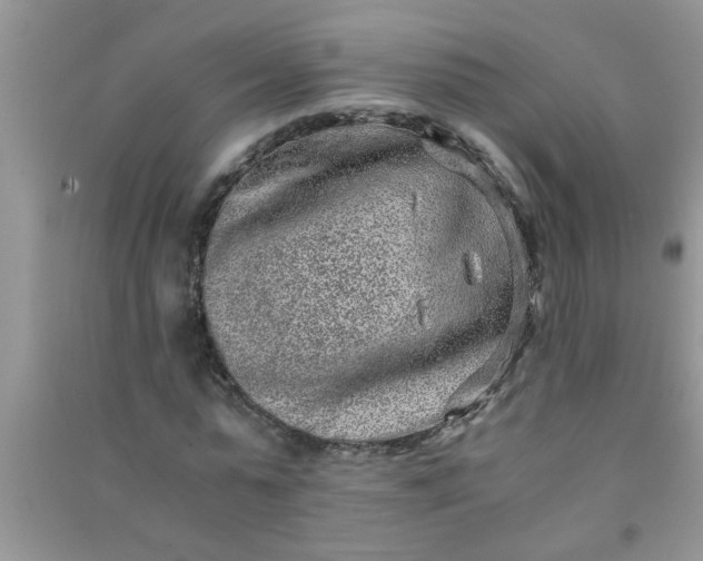 X0000090990775200708161916