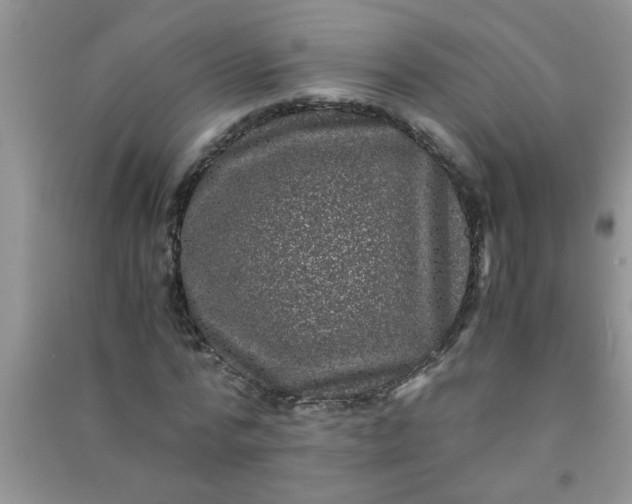 X0000090990776200708161916