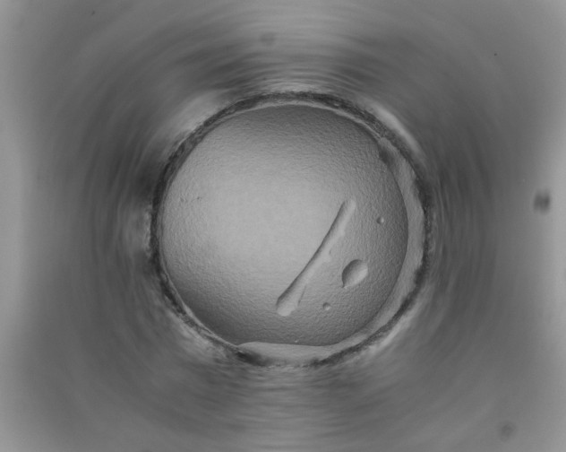 X0000090990777200708161916