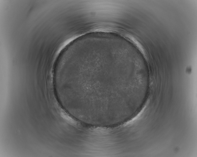 X0000090990779200708161916