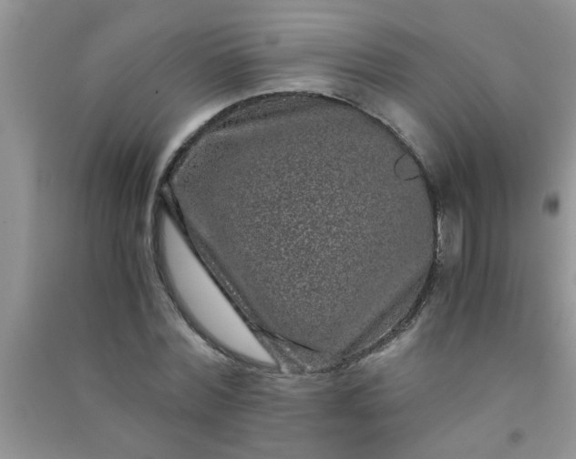 X0000090990780200708161916