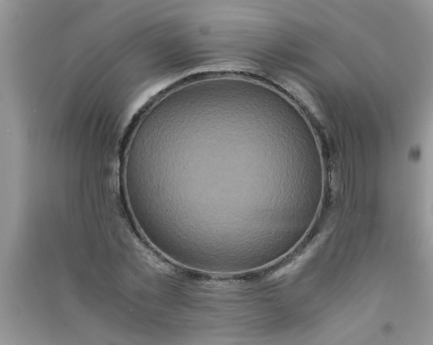 X0000090990781200708161916
