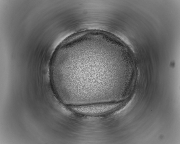 X0000090990782200708161916