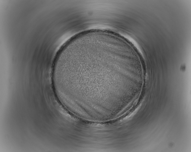 X0000090990783200708161916