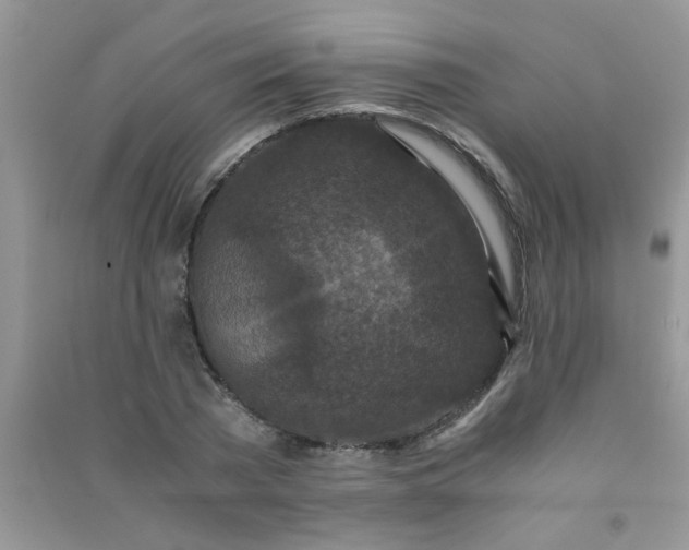X0000090990785200708161916