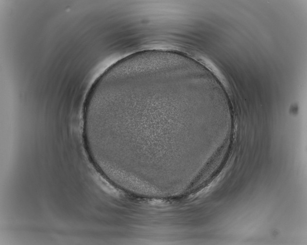 X0000090990787200708161916
