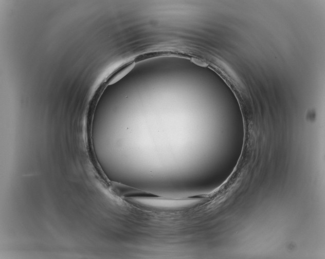 X0000090990788200708161916
