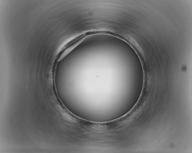 X0000090990789200708161916