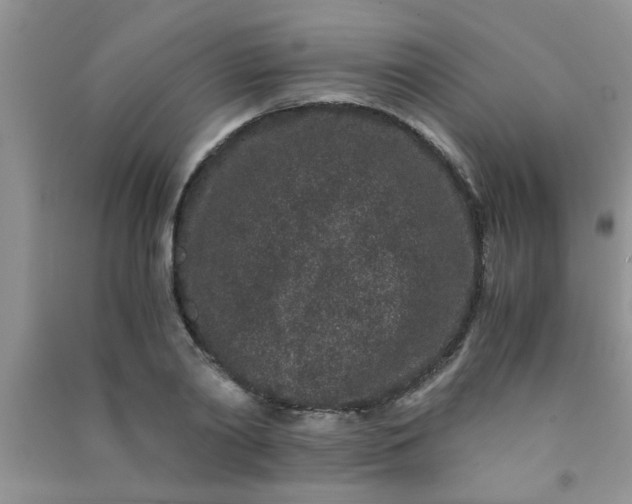 X0000090990790200708161916