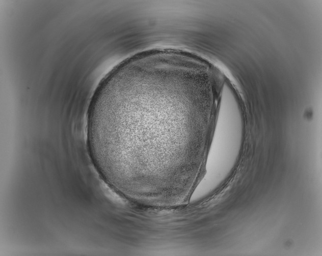 X0000090990791200708161916