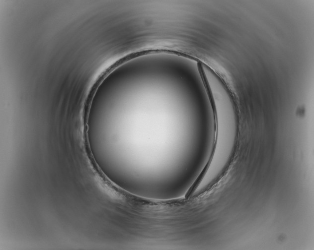 X0000090990792200708161916