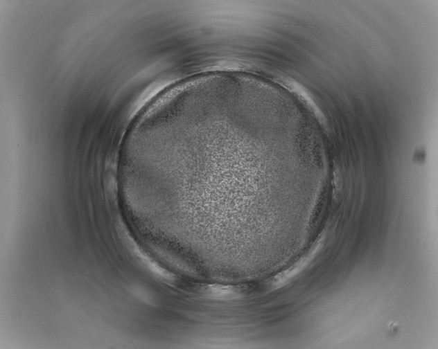 X0000090990794200708161916