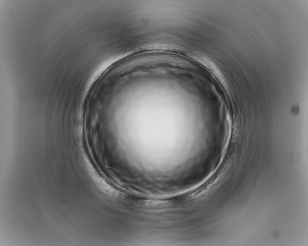 X0000090990795200708161916