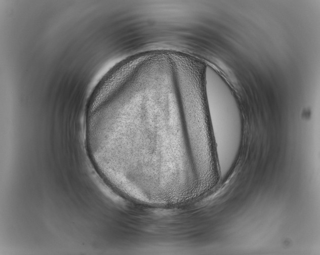 X0000090990796200708161916