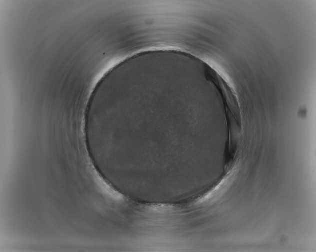X0000090990797200708161916