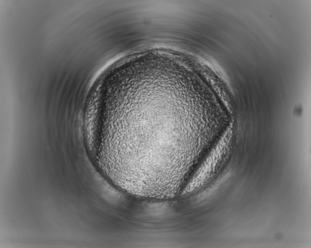 X0000090990798200708161916