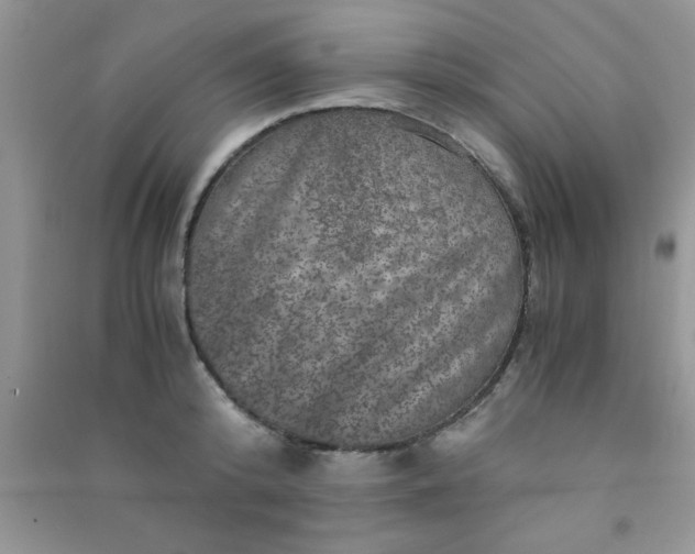 X0000090990800200708161916