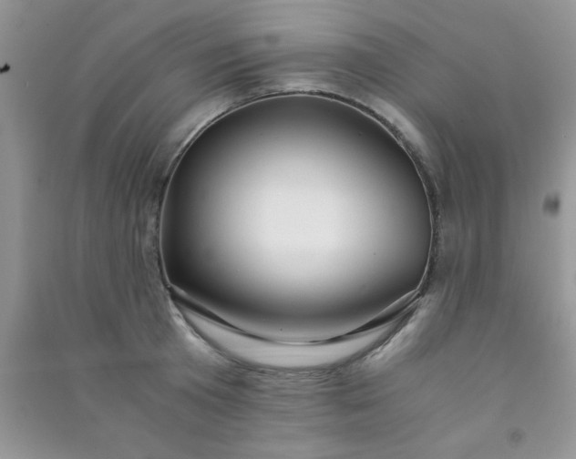 X0000090990801200708161916