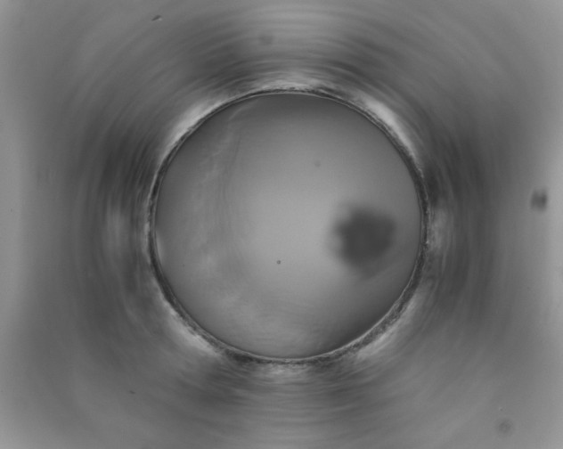 X0000090990802200708161916
