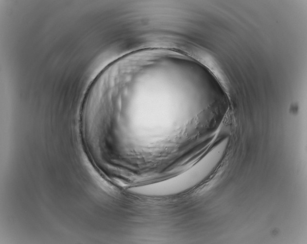 X0000090990803200708161916