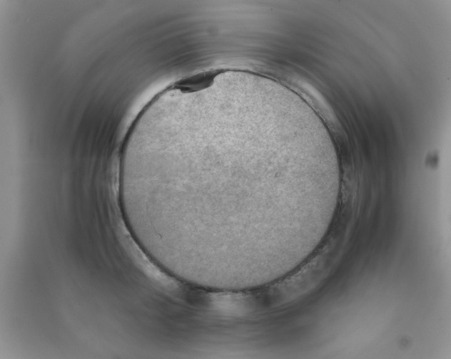 X0000090990804200708161916