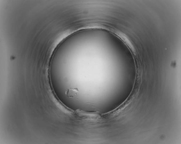 X0000090990805200708161916