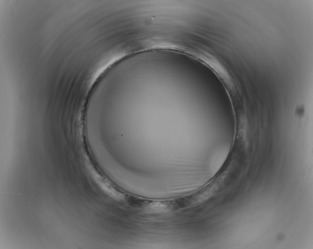X0000090990806200708161916