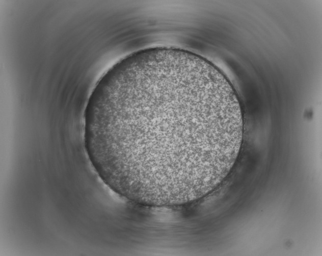 X0000090990807200708161916