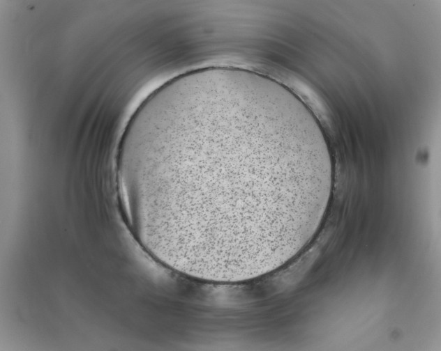 X0000090990808200708161916