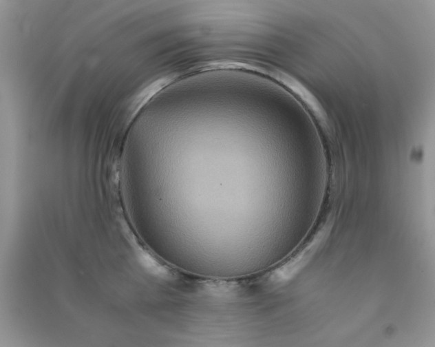 X0000090990809200708161916