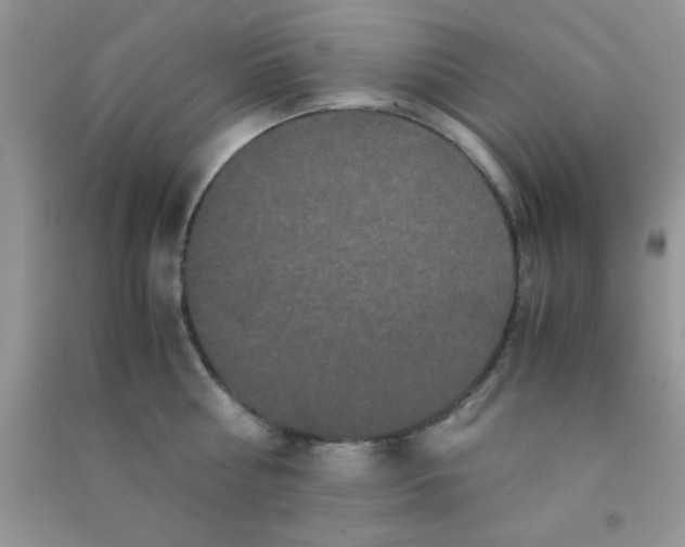 X0000090990810200708161916