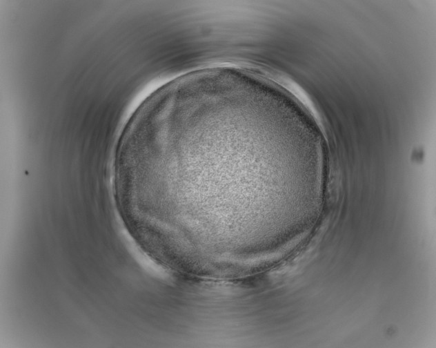 X0000090990811200708161916