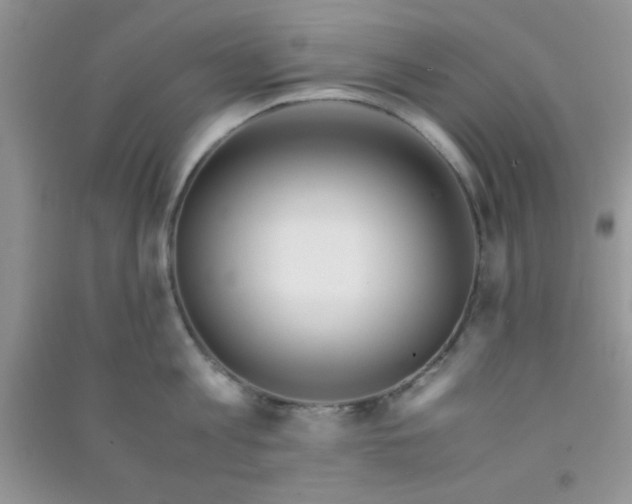X0000090990813200708161916