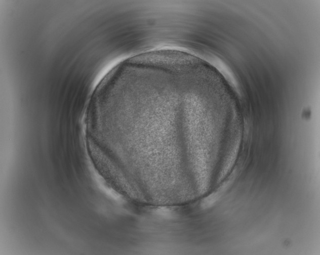 X0000090990814200708161916