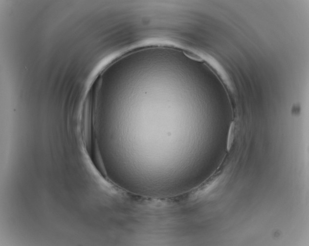 X0000090990815200708161916