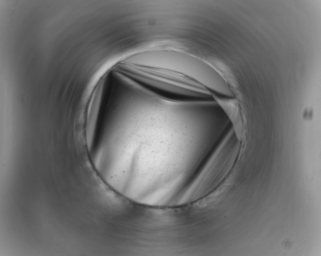X0000090990816200708161916