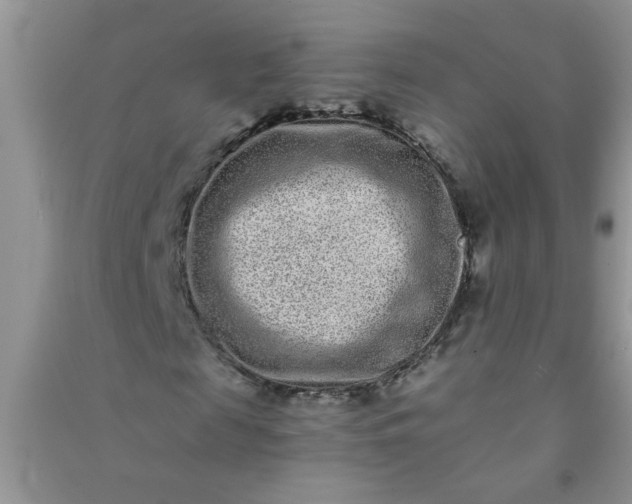 X0000090990817200708161915