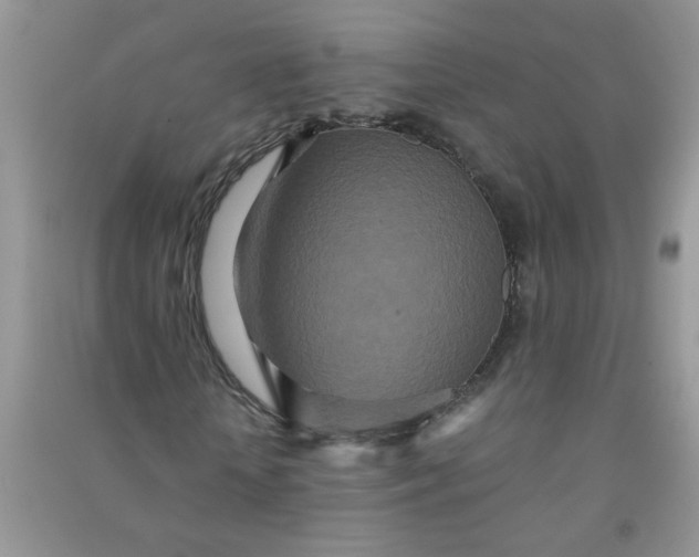 X0000090990818200708161915